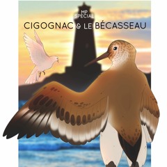 Cigognac et le Bécasseau (Cigognac and the Sandpiper)