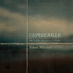 Tobar Mhoire (Orchestral) [feat. BBC Scottish Symphony Orchestra]