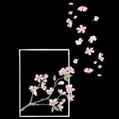 last night was a movie