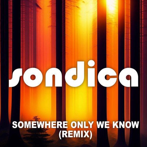 Somewhere Only We Know