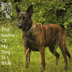 The Name Of My Dog Is Blue
