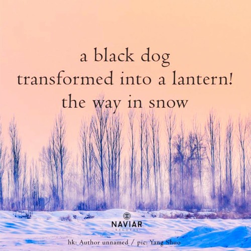 transformed into a lantern [naviarhaiku513]
