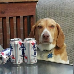 Jappi's 2step Mix To Step To