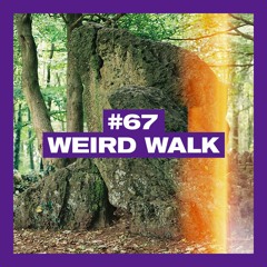 POSITIVE MESSAGES #67 - WEIRD WALK 'Bringing In The May'