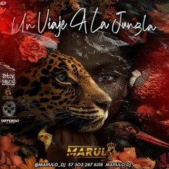 UN VIAJE A LA JUNGLA