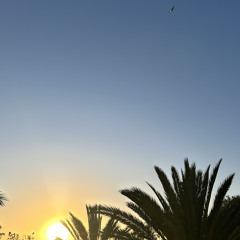 freed from desire house edit