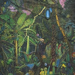 Noname- RAINFOREST(COVER VERSION)