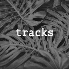tracks