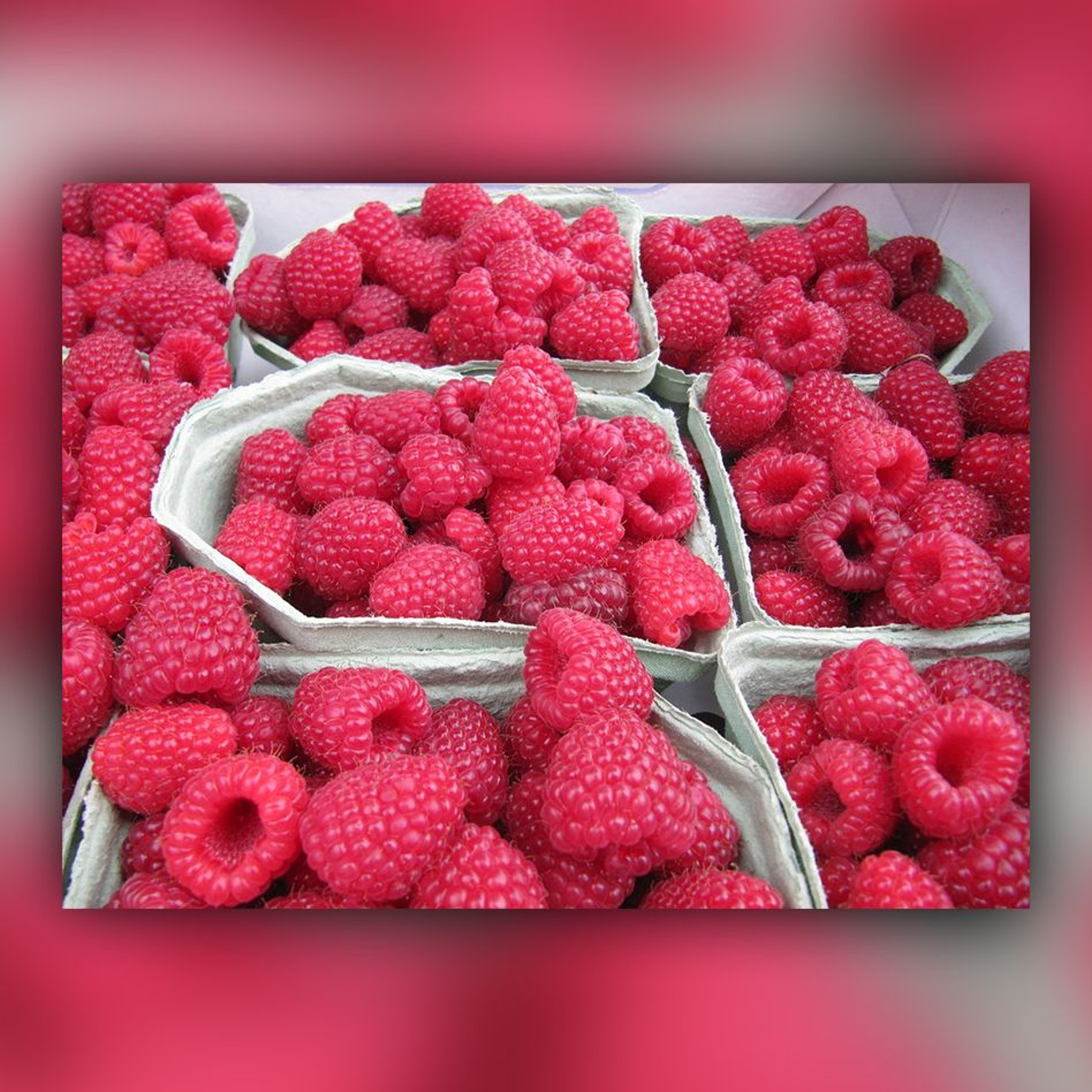 Should I Buy The $8 Raspberries (Story) episode artwork