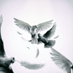 Chattering Meals