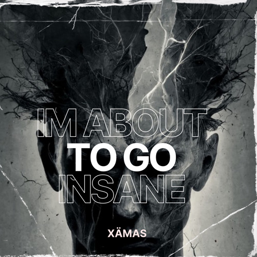 IM ABOUT TO GO INSANE - XÄMAS (FREE DL)