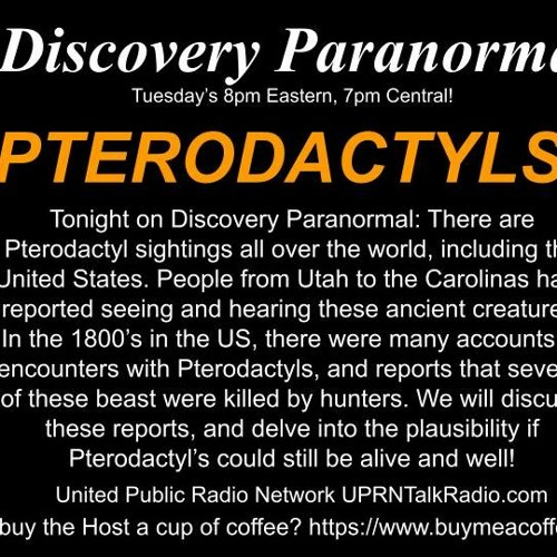Are Pterodactyl Sightings Real?