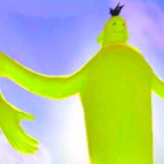 xxvi