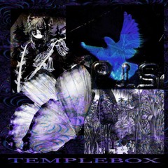 templebox ft. sxy0la (prod. skest)