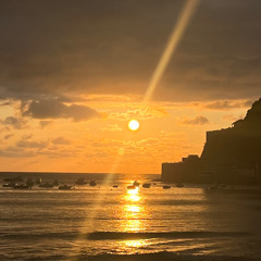 Ollie - Miracle Worker