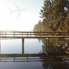 WHEN YOU FLY AWAY