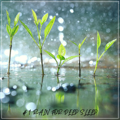 Water Sounds Music Universe – Rain Drop Medley of Roof, Thunder, Forest, Car, and More (Loopable Audio for Insomnia, Meditation and Restless Children)