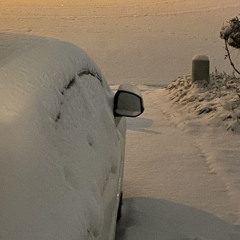 foreign hoes (neko) #grim99