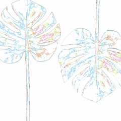 monstera