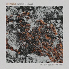 Orange nocturnal