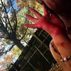 zakiri - blood. prod zakiri