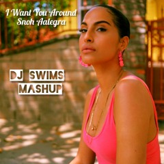 Snoh Aalegra - I Want You Around X Missy Elliot - Can We - DJ SWIMS Mashup