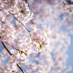 feeling (prod dreamboi) #heartfelt