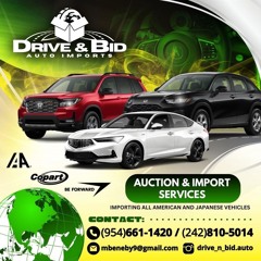 Drive & Bid Promo