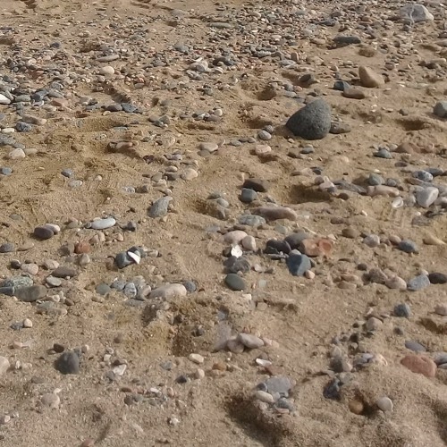 OLDVIDA$$$ - Desierto🏜