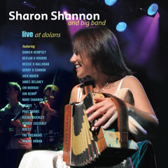 Courtin' in the Kitchen (Live) [feat. Dessie O'Halloran, Mundy & Damien Dempsey]