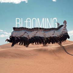 Blooming