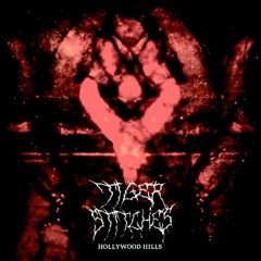 HOLLYWOOD HILLS [PROD. meenowave] - VISUAL IN DESCRIPTION
