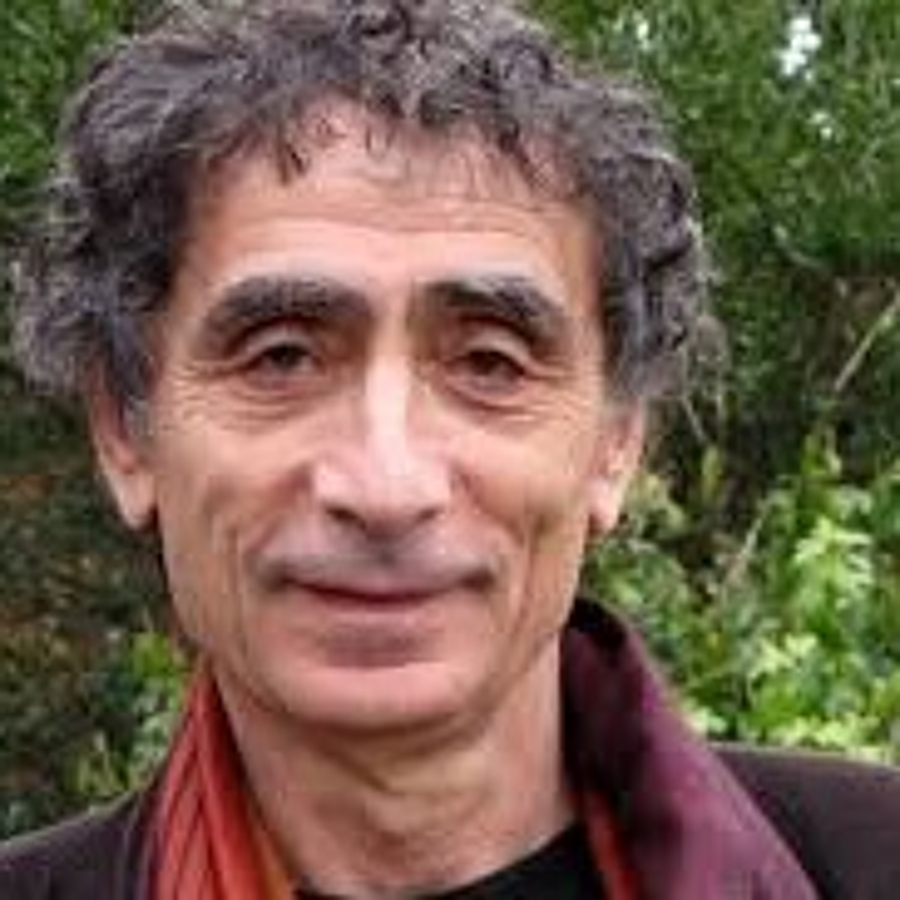 EP 246 Autonoma öar eller generationer tillsammans? Gabor Maté episode artwork