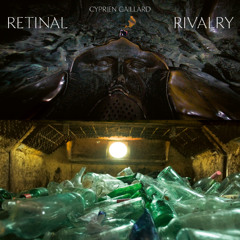 Cyprien Gaillard - Retinal Rivalry (PAN 157)