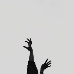 Pomegranates and Olives