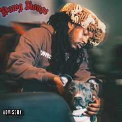 Dawg House
