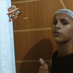 @@QUANDO ELA TA NA BAD ELA FICA LOUCA - MC LUAN DA BS [DOISKA CHAMADÃO & PH BALLA]