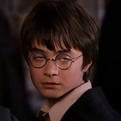 harry potter jerk мясо ъэ