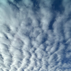 cluh cloudy