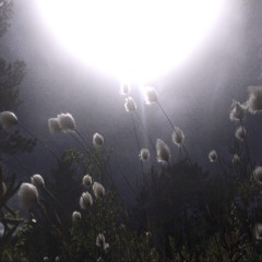 *1m a Serpent* #vioisundermybed #getwayfromme (Prod d1emon)