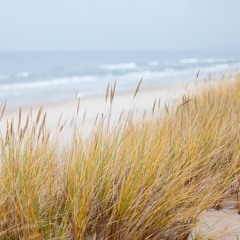Bakers Beach