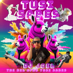 DJ JOEL