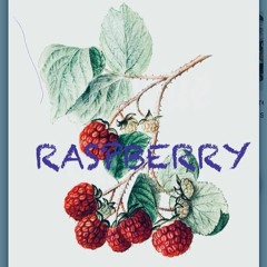 raspberry snd ice ream