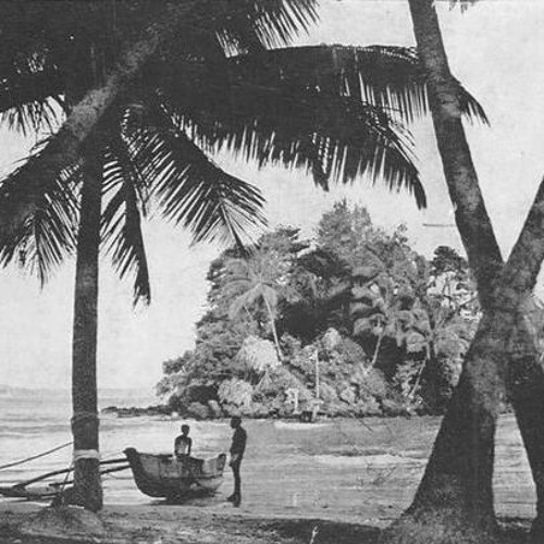 IN TROPICS