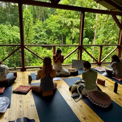 Morning meditation in the jungle 4.m4a