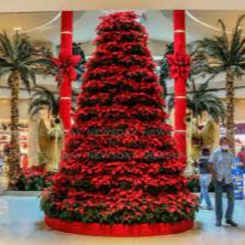 Indian Remix Christmas Mix