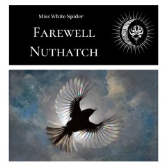 Farewell Nuthatch