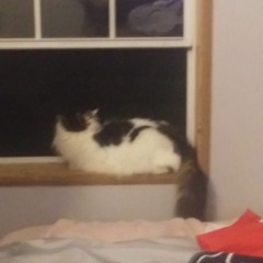 Juice wrld -Split My Brain