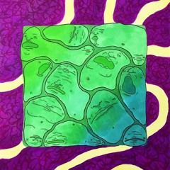 Nate Gaddafi - White Bread