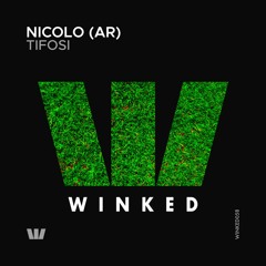 Nicolo (AR) - Not Falling Again (Original Mix) [WINKED]